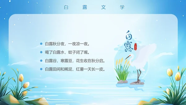 美丽的梦幻传统节气白露PPT模板