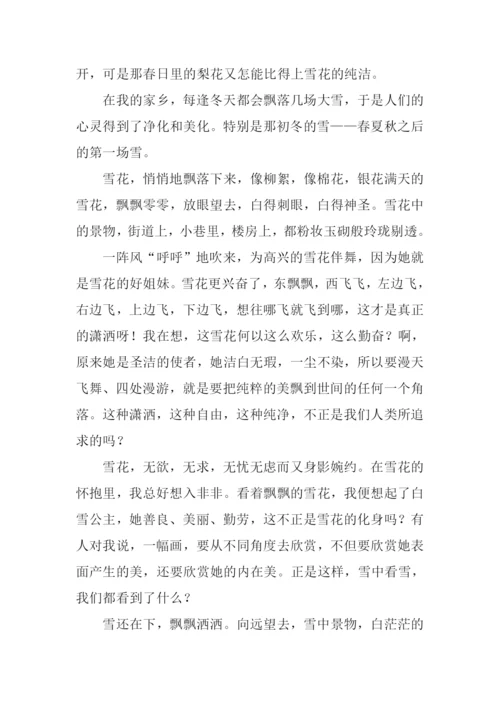 描写冬天风景的作文.docx