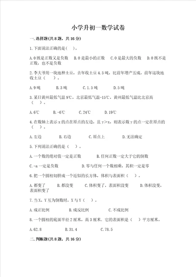 小学升初一数学试卷精品名师系列
