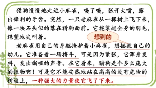 第16课《麻雀》（课件）