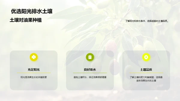 油果种植之全方位解析