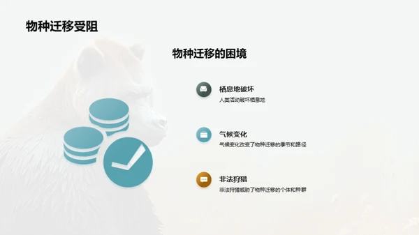 简约风其他行业教学课件PPT模板