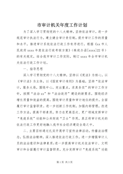 市审计机关年度工作计划.docx