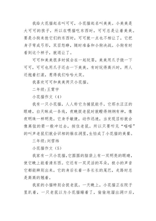 小花猫作文.docx