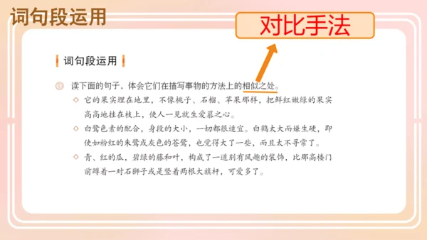统编版语文五年级上册 第一单元 语文园地一  课件