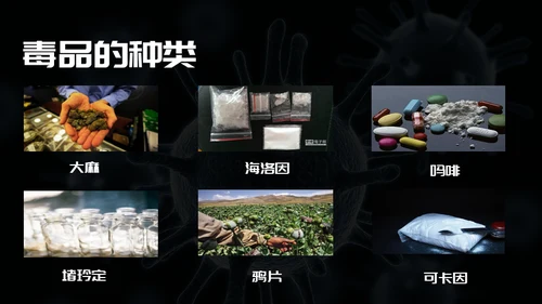远离违禁品禁毒宣传通用PPT模板