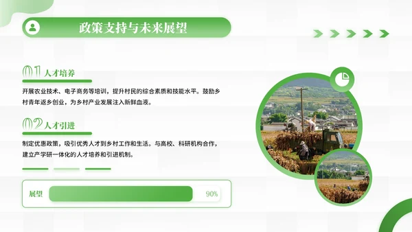 绿色商务风乡村产业振兴的创新实践PPT模板