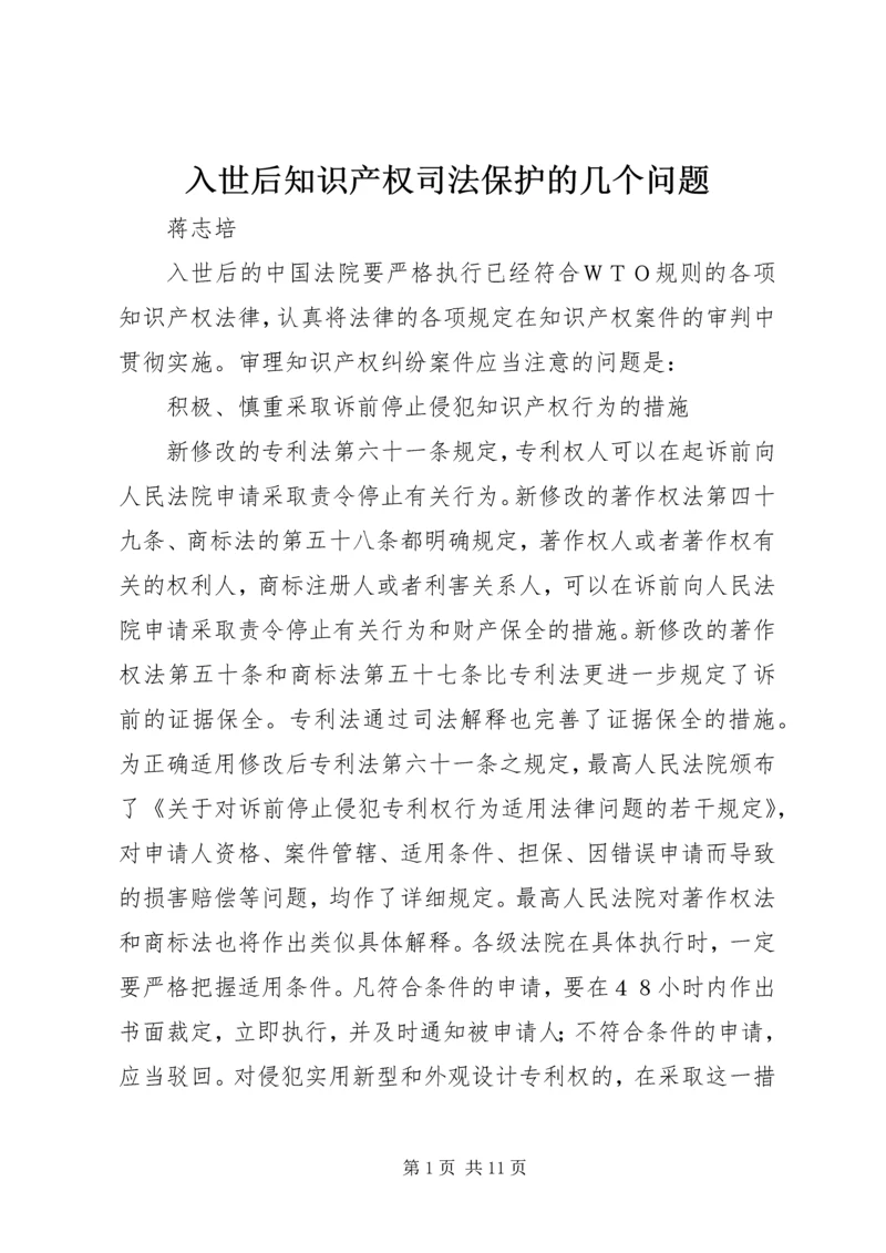 入世后知识产权司法保护的几个问题.docx