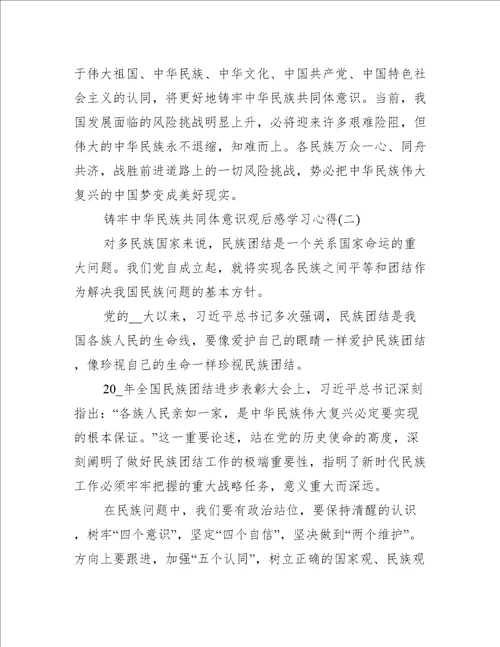 6篇关于铸牢中华民族共同体意识观后感学习心得