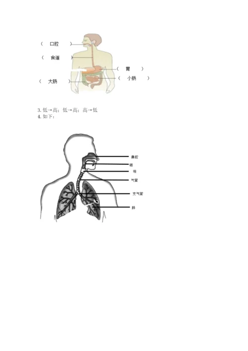 教科版四年级上册科学期末测试卷精品【全优】.docx