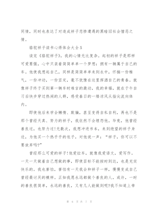 骆驼祥子读书心得体会大全.docx