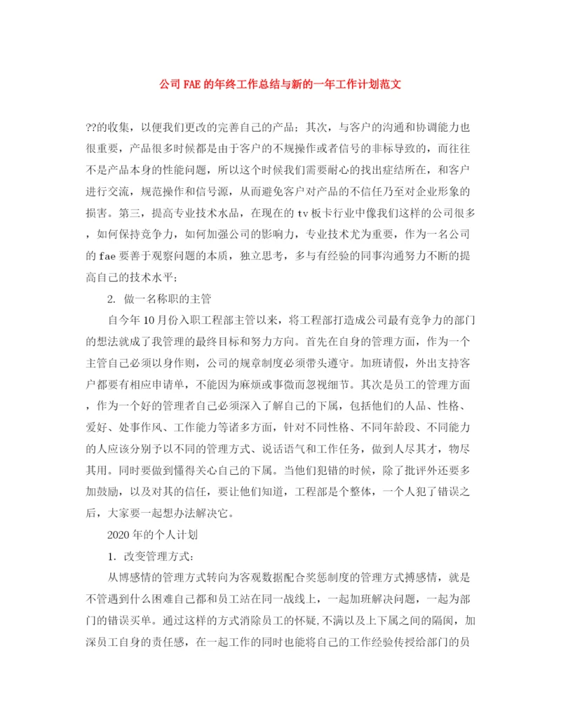 精编之公司FAE的年终工作总结与新的一年工作计划范文.docx
