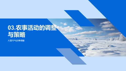 大雪节气与农业优化