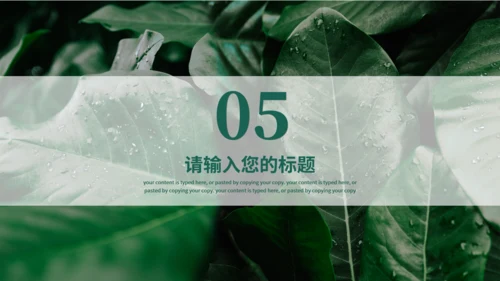 夏天的绿叶二十四节气夏至通用PPT模板