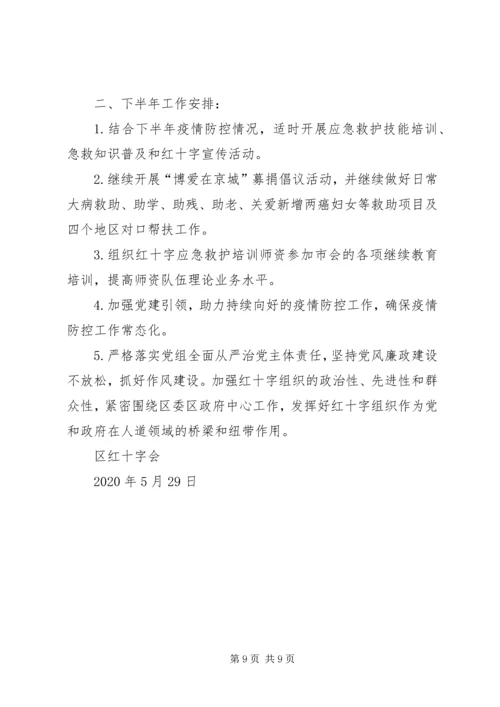 红十字会XX年上半年工作总结和下半年工作安排.docx