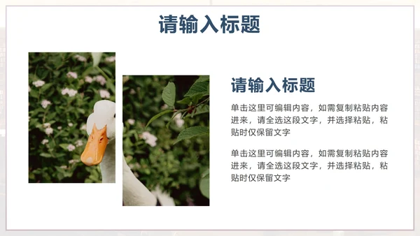 蓝色实景简约阅读有光读书分享会PPT模板