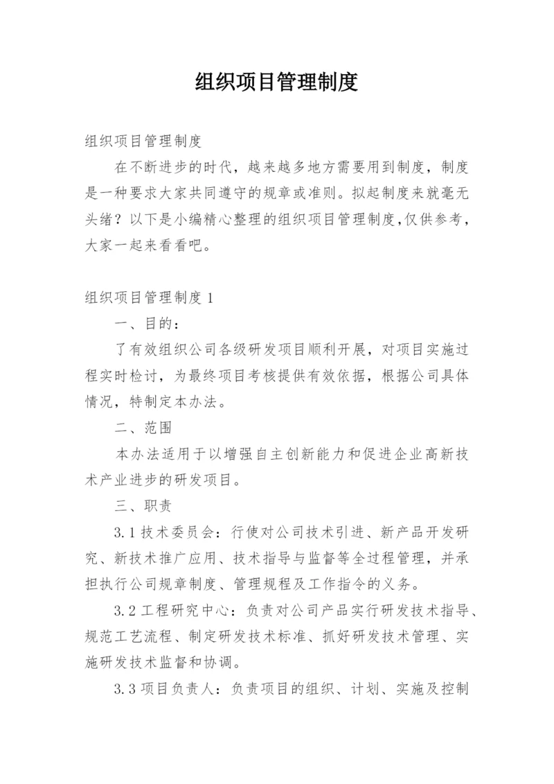 组织项目管理制度.docx