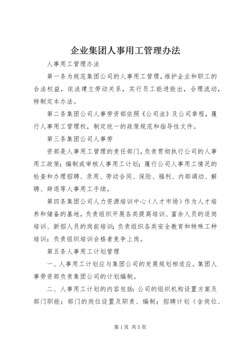 企业集团人事用工管理办法 (2).docx