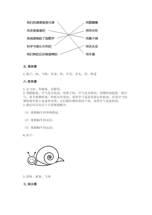 教科版一年级下册科学期末测试卷精品【基础题】.docx