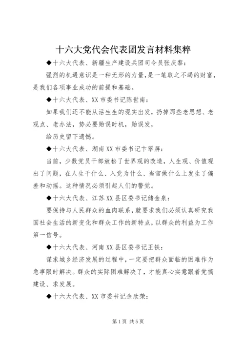 十六大党代会代表团发言材料集粹 (3).docx