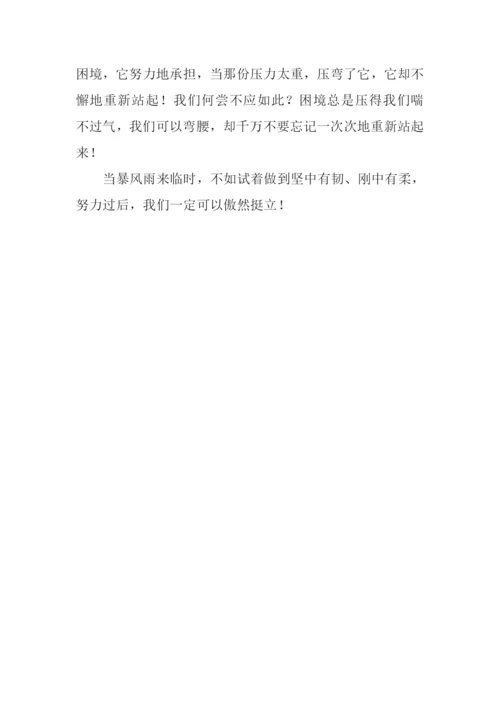 当暴风雨来临时作文.docx