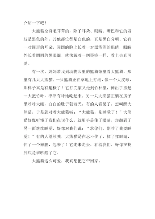 可爱的大熊猫作文-1.docx
