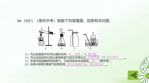 第二单元空气和氧气复习课课件(共32张PPT)-九年级化学人教版2024上册