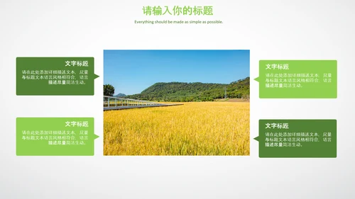 农业生产春耕三农新农村乡村振兴稻田水稻PPT