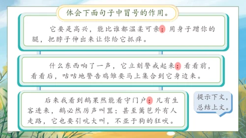 【核心素养】部编版语文四年级下册-语文园地四（课件）