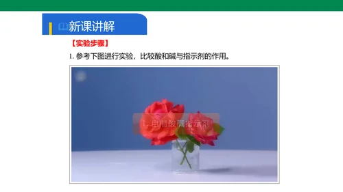实验活动7 溶液酸碱性的检验 课件