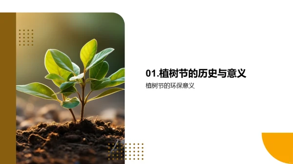 植树节与绿色报道