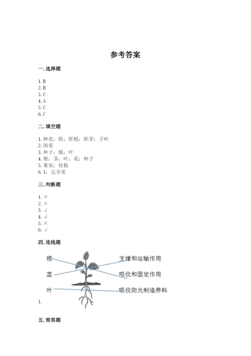 教科版科学四年级下册第一单元《植物的生长变化》测试卷附答案.docx