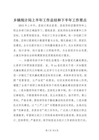 乡镇统计局上半年工作总结和下半年工作要点.docx