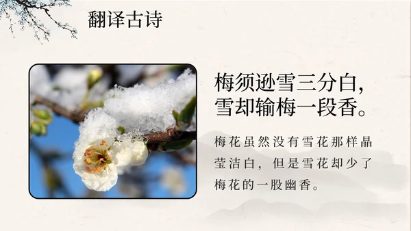 部编版语文四年级上册第九课古诗三首之雪梅PPT模板