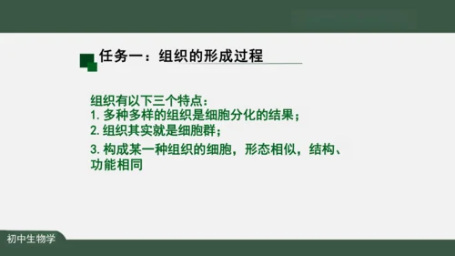 2.2.2 动物体的结构层次 课件（共24张PPT）