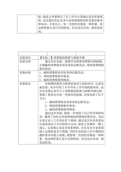 税务会计实验报告