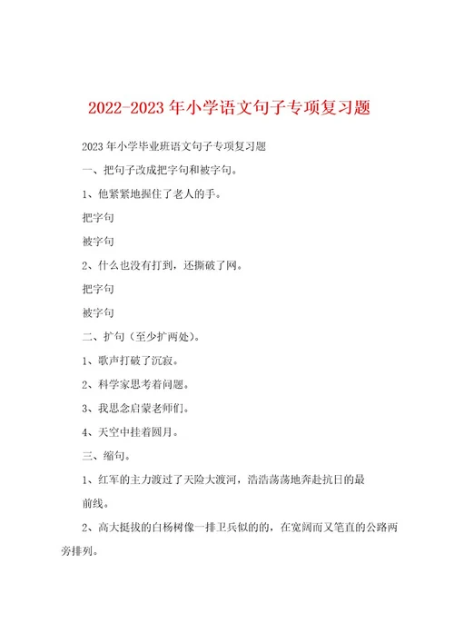 20222023年小学语文句子专项复习题