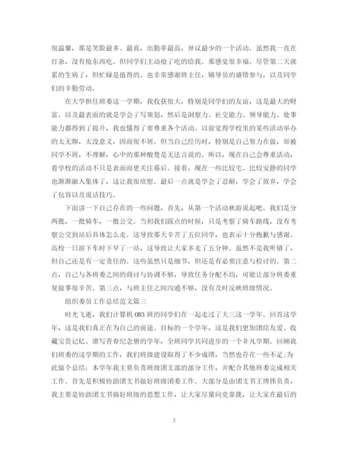 精编之组织委员工作总结范文.docx