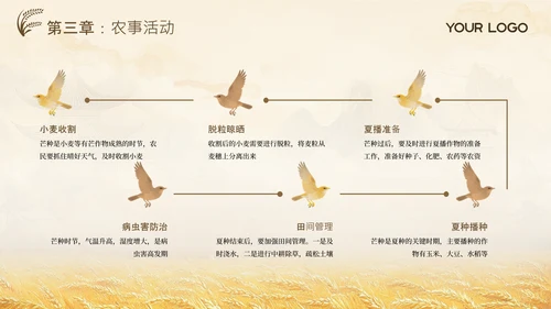 黄色古风中国传统文化二十四节气芒种课堂科普PPT模板