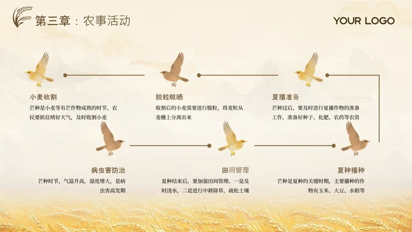 黄色古风中国传统文化二十四节气芒种课堂科普PPT模板