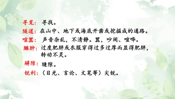 第21课《蝉》课件