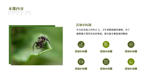 蜜蜂采蜜自然与科学通用PPT模板