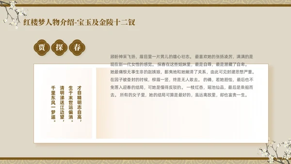 褐色复古中国风中国四大名著之红楼梦人物介绍PPT