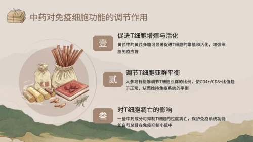 浅棕色中国风中医药对免疫系统调节PPT