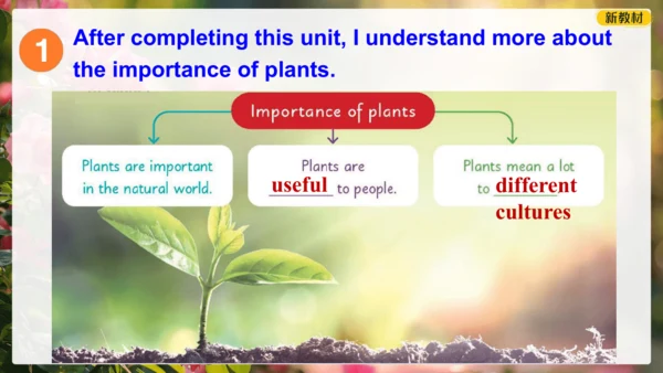 Unit 6 The power of plants Presenting ideas 课件 外研版