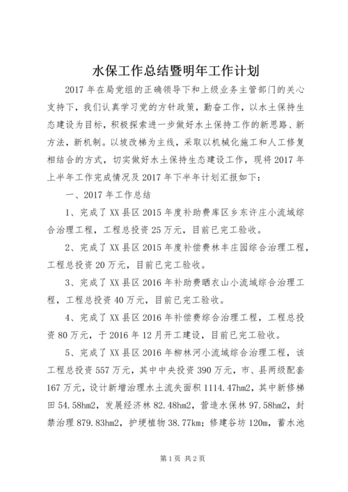 水保工作总结暨明年工作计划.docx