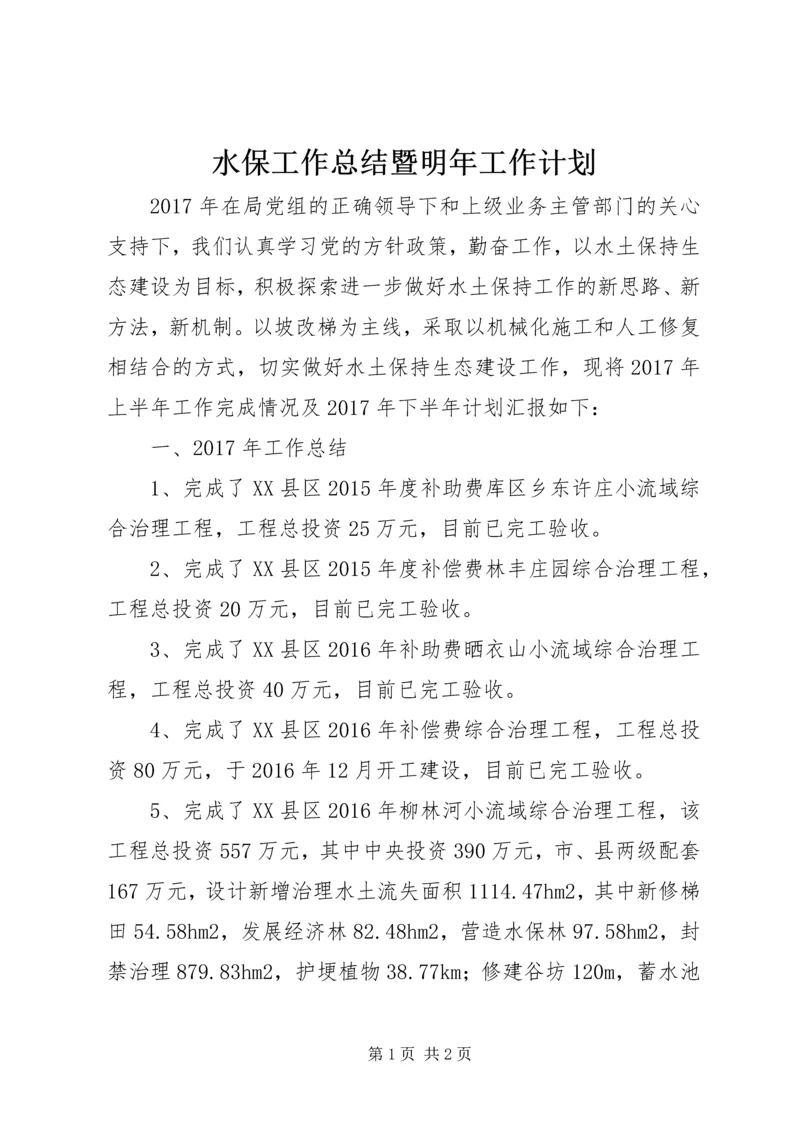 水保工作总结暨明年工作计划.docx