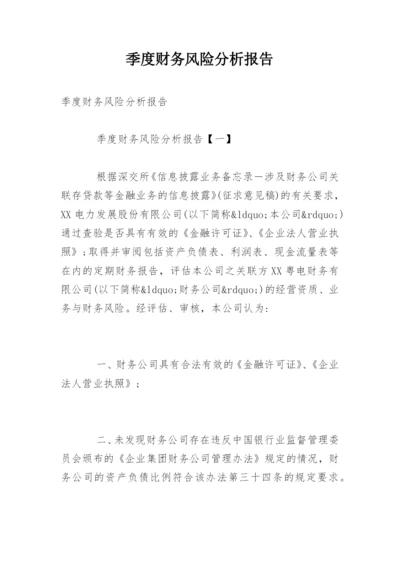 季度财务风险分析报告.docx