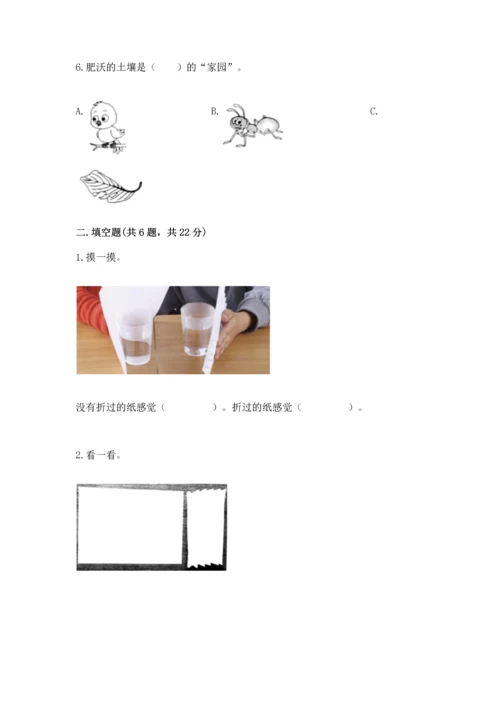 教科版科学二年级上册《期末测试卷》精品（夺冠系列）.docx