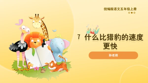 7 什么比猎豹的速度更快    课件